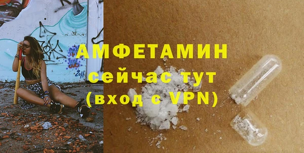 крисы Краснослободск