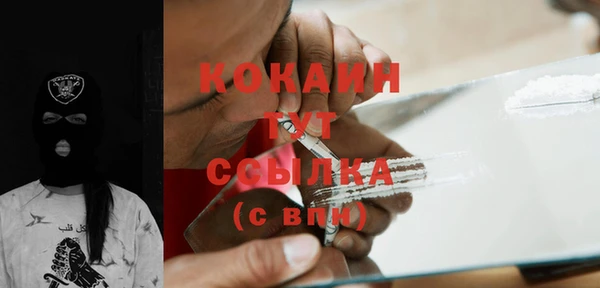 крисы Краснослободск