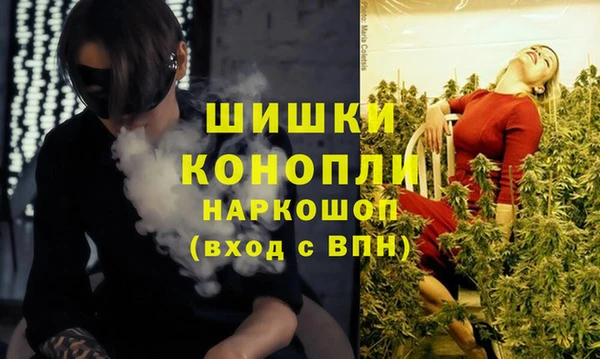 крисы Краснослободск