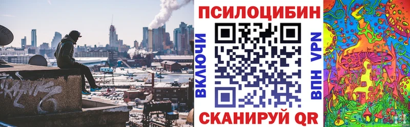 кракен ТОР  Котельниково  Галлюциногенные грибы мицелий 
